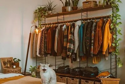 gato