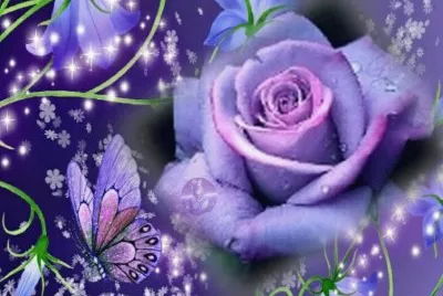 Rosa LilÃ¡s jigsaw puzzle