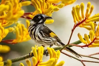imagem jigsaw puzzle
