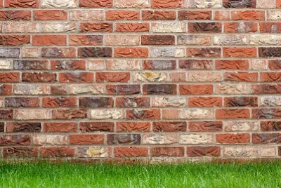 Pared Ladrillos