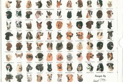 ... jigsaw puzzle