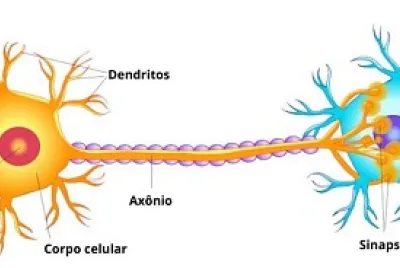 Neurônio