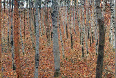 Klimt bois de bouleau