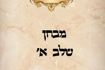 תת אור המאיר אלעד jigsaw puzzle