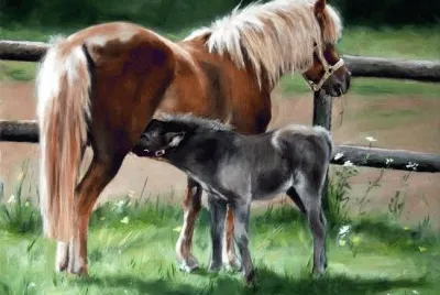 caballos 15 jigsaw puzzle