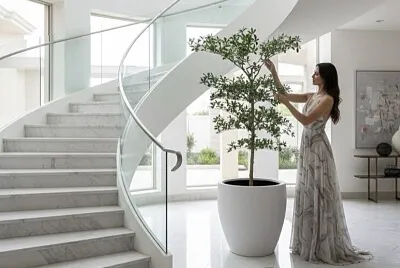 Decoración