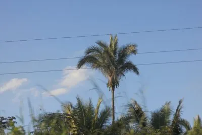 natureza