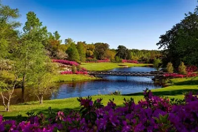 Jardines