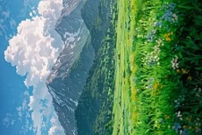 cielo
