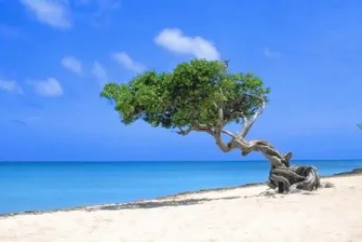 Ilha... jigsaw puzzle