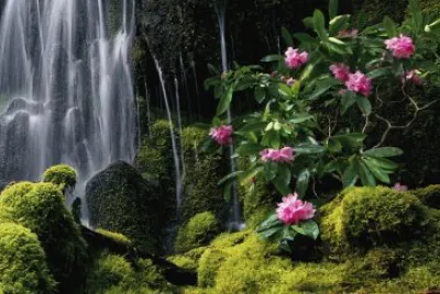 Moss Waterfall jigsaw puzzle