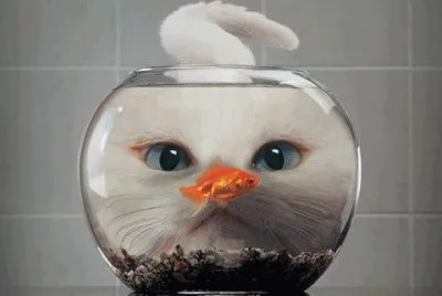 Cat in bowl jigsaw puzzle