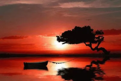 Deslumbrante jigsaw puzzle