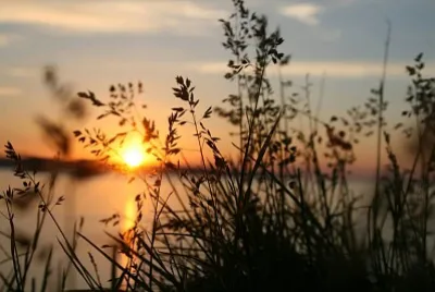 Puesta de Sol en el rio