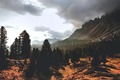 Paisaje campestre