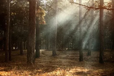Rayos de luz