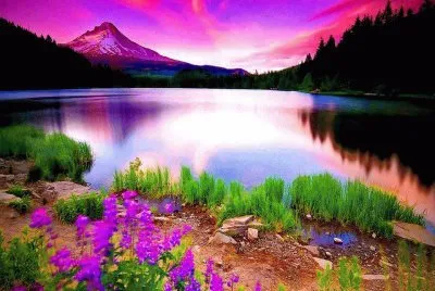 CÃ©u Rosado jigsaw puzzle