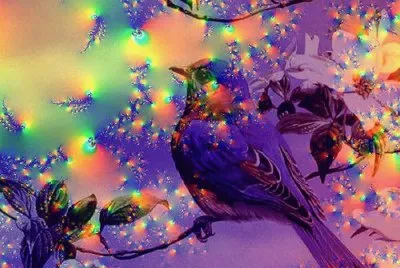 PÃ¡ssaro jigsaw puzzle