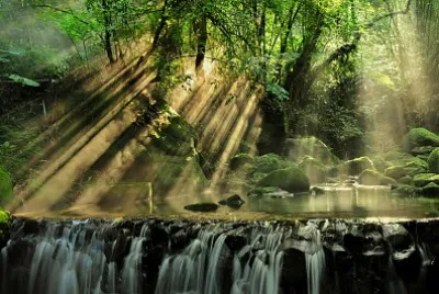 Cascada en el bosque