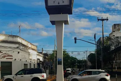 nose