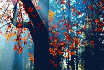 Colorido jigsaw puzzle