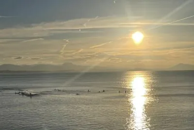Surfeurs déc 2025