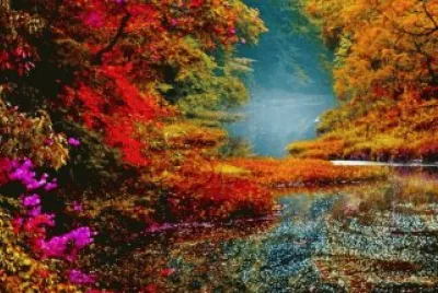 FantÃ¡stico jigsaw puzzle