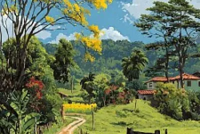 Caminho da paz