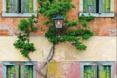 Ventanas