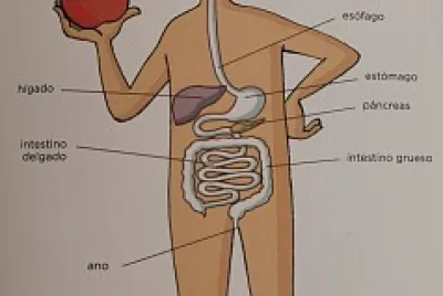 comer