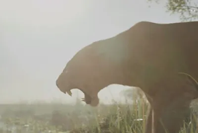 Eshe roaring at crocodile