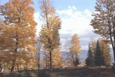 open spaces