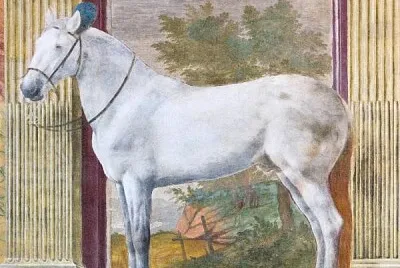 CAVALLO DARIO