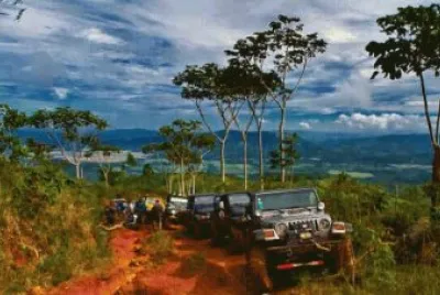 camino al campo jigsaw puzzle