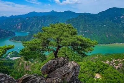 Panoramica rio