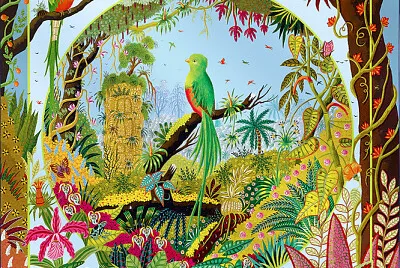 oiseaux de rêve