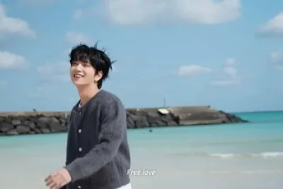Seventeen - Joshua
