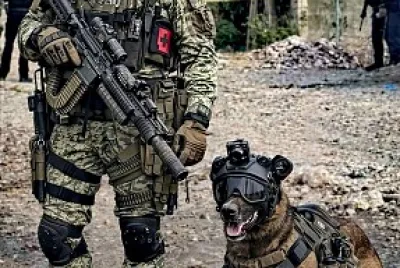 K-9