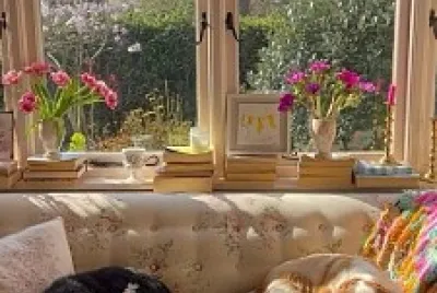 Perro