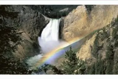 Lower Yellowstone Falls