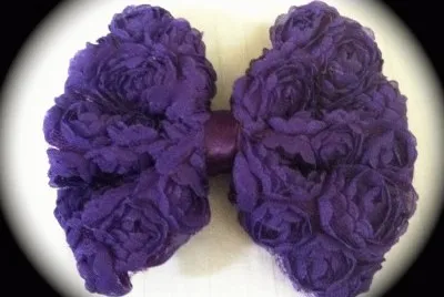 Mesh Bow Hair Clip
