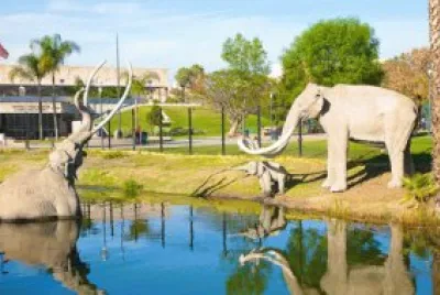 La Brea Tar Pits-Los Angeles