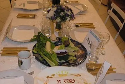 תמי שטיינבאך