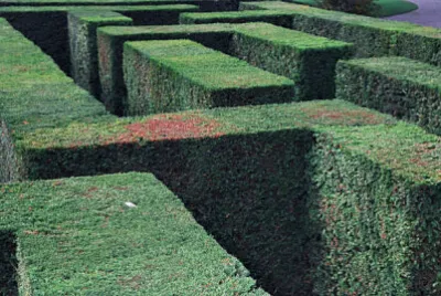  jigsaw puzzle