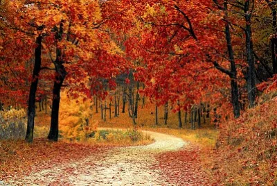 Otoño Hermoso
