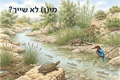 חידת אקולוגיה