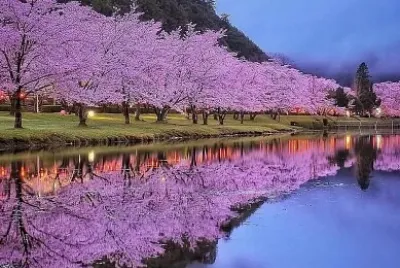 Japón