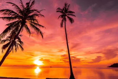 sunset in Hawaii