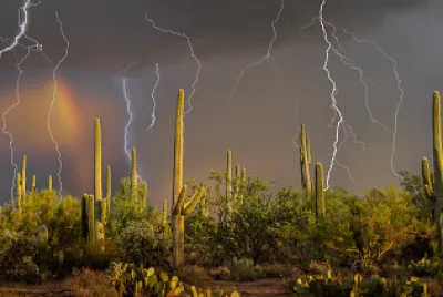 Tormenta en el desierto