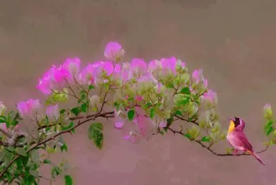 36 jigsaw puzzle